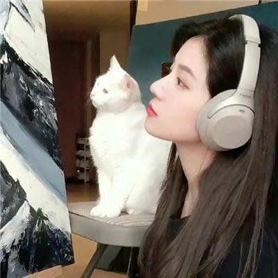建筑师之腹